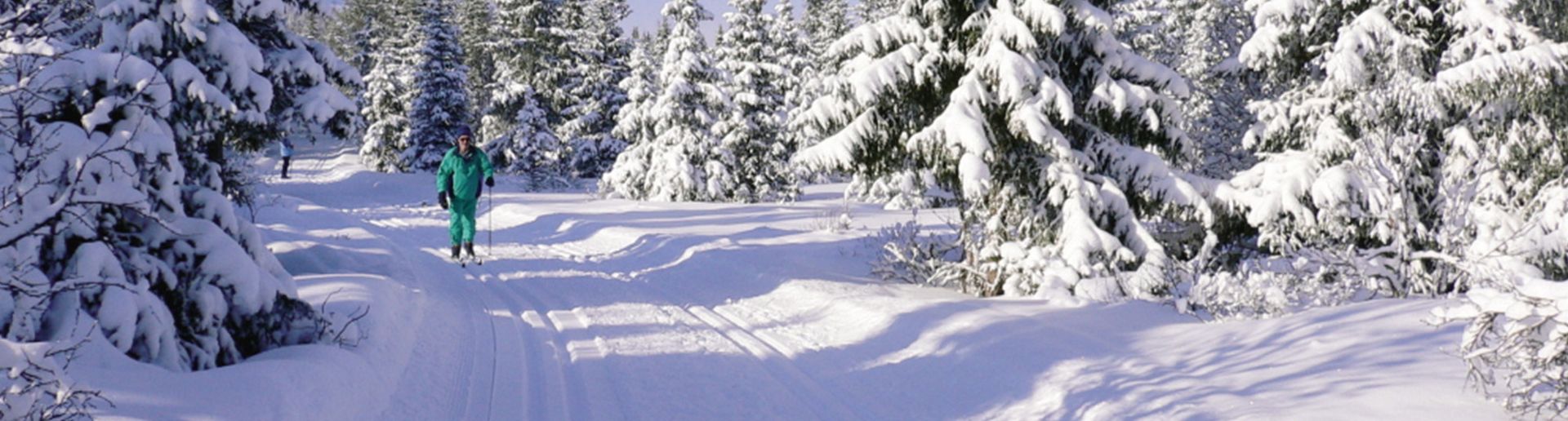 Skilanglaufschule Winterberg